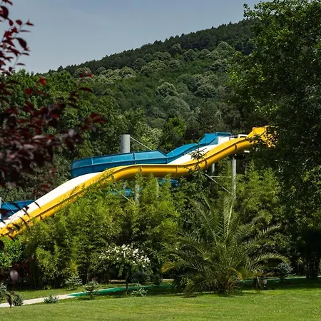 Ng Wellness & Convention Sapanca